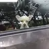 Byron Donald - @byron.donald4 - TikTok