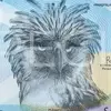 Cabral Mcdjdonald - @cabral.mcdjdonald - TikTok