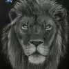 donaldcage69 - @donaldcage69 - TikTok