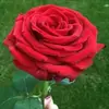 Donald Cain - @donaldcain8784 - TikTok