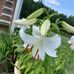 Donald Calvert - Facebook