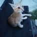 Donald Camacho - Facebook