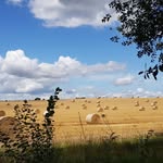Avril Donald Cartwright - @avril.cartwright71 - Instagram