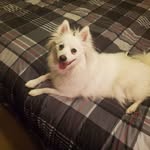 Donald Casper - @dcasper520 - Instagram