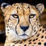 Donald Casper - @donaldcasper38 - Instagram