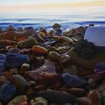 Donald Chappell - @donaldchappell61 - Instagram
