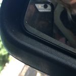 it stinks like fish - @donald_trumps_butt_cheek - Instagram