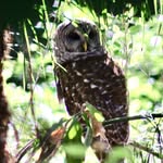 Donald Henault - @donald.henault - Instagram