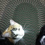 donald chew - @chew.donald - Instagram