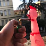 donald_the_fucking_chicken - @donald_the_fucking_chicken - Instagram