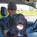 Donald Chinn - Facebook