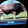 Donald Cisneros - @donald.cisneros - TikTok