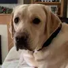 Donald Clegg - @donald.clegg - TikTok