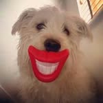 Donald Colley - @donaldcolley - Instagram