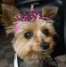 Donald Comstock - Facebook