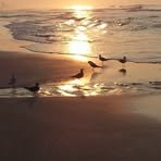 Donald Conley - Facebook
