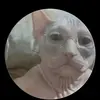 Donald Conley - @donald.conley8 - TikTok