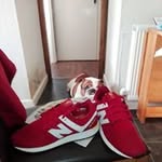 Donald Conroy - @derykellis31 - Instagram
