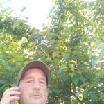 Donald Considine - @considine.donald - Instagram