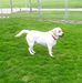 Donald Cooley - Facebook