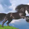 Donald Cormier - @donald.cormier - TikTok