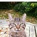 Don Cottrell - Facebook