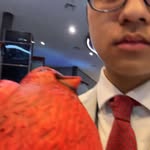 Tommy Nguyen - @donald_crowhurst1111 - Instagram