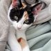 Donald Crowther - Facebook
