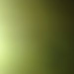 Donald Dabbs - @donald.dabbs - Instagram