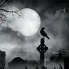Donald Darnell - @donald.darnell - TikTok