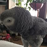 Donald Daytona - @donald_daytona - Instagram