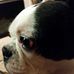 Donald Deckert - Facebook