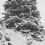 Donalddevries - @donalddevries123 - Instagram