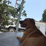 Donald Dillard - @donalddillard1961 - Instagram