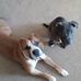 Donald Dismuke - Facebook