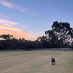 Donald Dodd - @donalddodd30 - Instagram