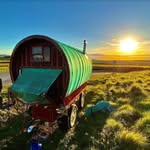 Donald Ganslmeier - @donald_dollar_and_wagon - Instagram