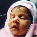 Donald Donato - @donalddonato8 - Instagram
