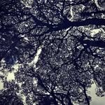 Donald Doran - @donald_doran_ - Instagram