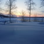 Donald Dore - @donalddore - Instagram
