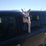 Donald Dougherty - @donald.dougherty2024 - Instagram