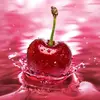 ColdWatermelon🍉 - @donalddrivera - TikTok