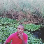 Donald Dube - @dube.donald - Instagram