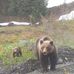 Donald Dupuis - Facebook