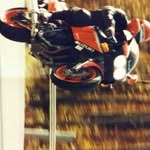 Donald Dupuis - @donalddupuis - Instagram