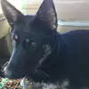 Donald Greager - @donald.greager4 - TikTok