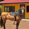 🏇🏾🍁Don Eddy🍁🏇🏾 - @don.eddy3 - TikTok