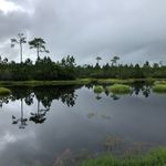 Donald Eddy - @donaldeddy1952 - Instagram