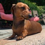 Don - @donalderwin - Instagram