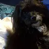 Donald Fair - @2175107739 - TikTok